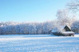 Looking at the winter landscape